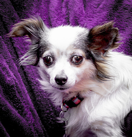 Foster Anouk-8802