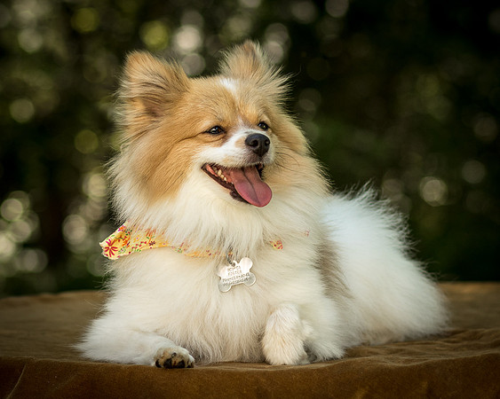 Foster Sydney-7636