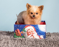 Foster Horace-0874