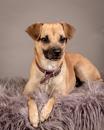 Foster Paxton-5215