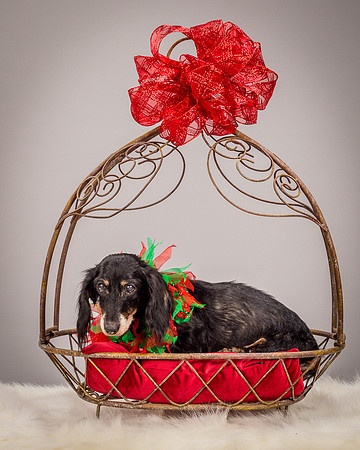 Foster Bernice-3741