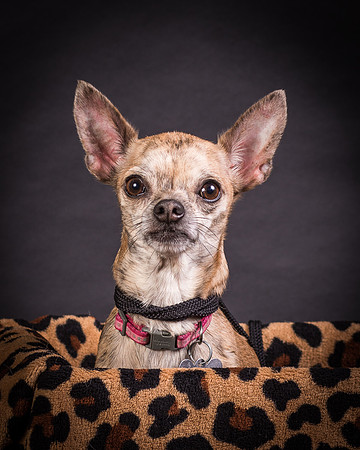 Foster Selina-1175