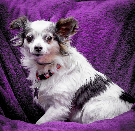 Foster Anouk-8817