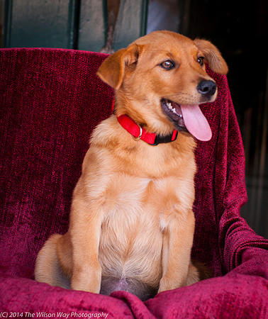 Foster Luna-9122