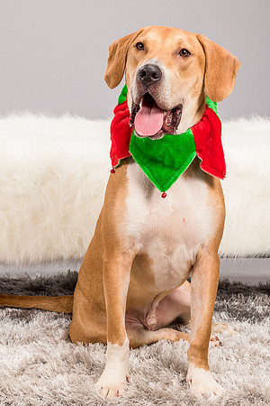 Foster Troy-6273