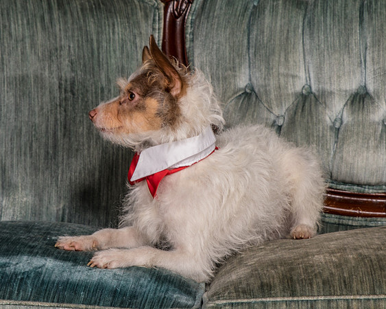 Foster Reagan-4886