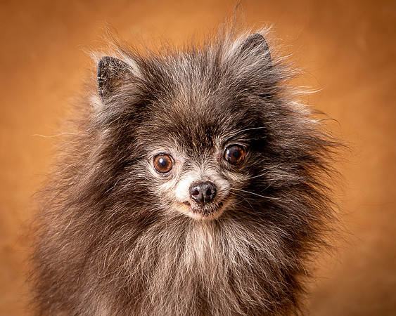 Foster Loretta-1271