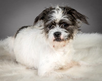 Foster Leeza-2572