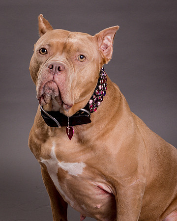 Maggie Griner-7546