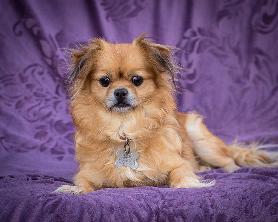 Foster Tia Maria-7837