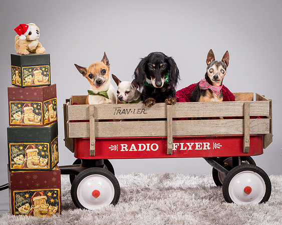 Foster Hospice Gang-3916