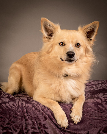 Foster Sergio-8049