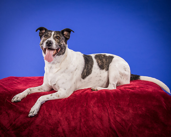 Bruns-Melo and Gracie-3044