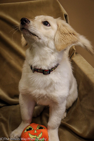 Foster Stephanie-0385
