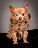 Foster Pancho-9457