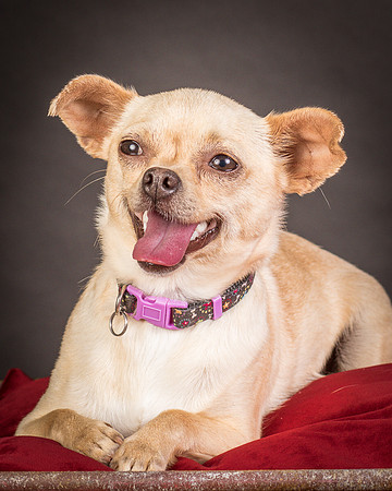 Foster Brielle-0061