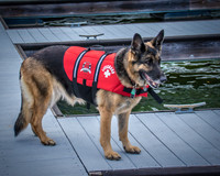 Memorial Day Weekend-4619