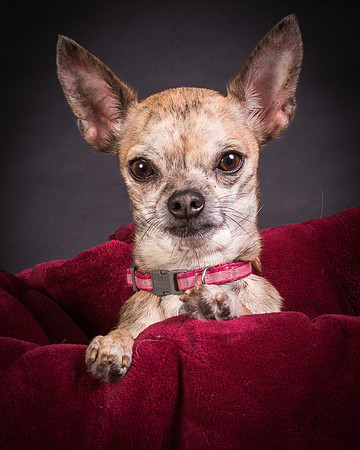 Foster Selina-1135
