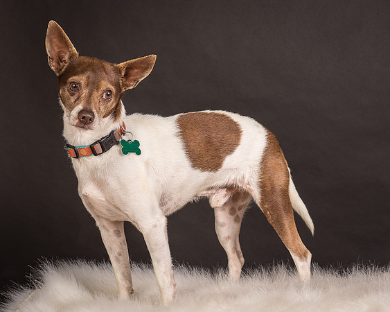 Foster Gus-0321