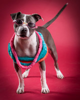 Lucy-8909