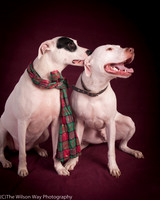 Merci and Elwood Robinson-4353