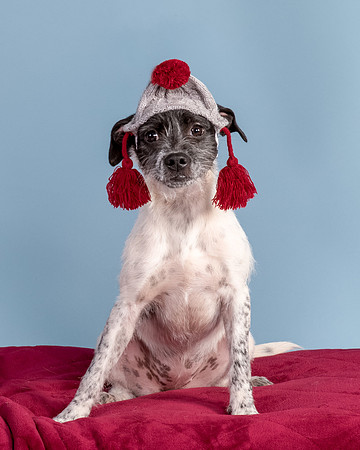 Foster Billie-8243