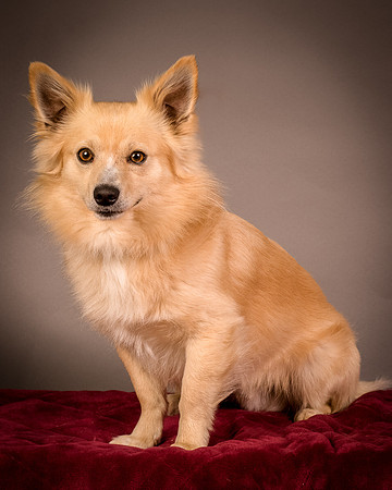 Foster Sergio-8122