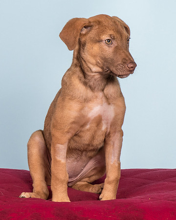 Foster Bronwyn-8365