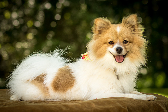 Foster Sydney-7607