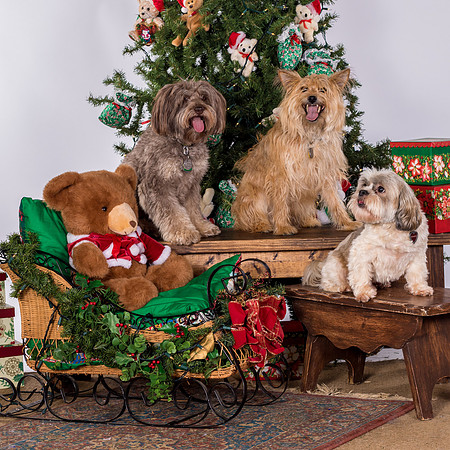 Bill-1734