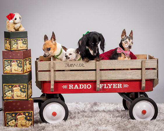 Foster Hospice Gang-3951