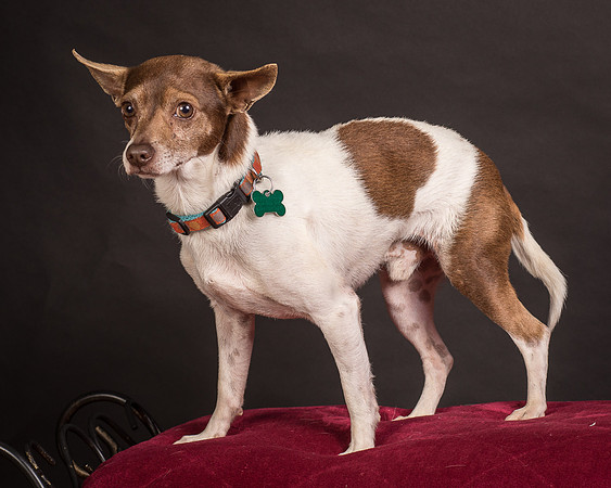 Foster Gus-0339