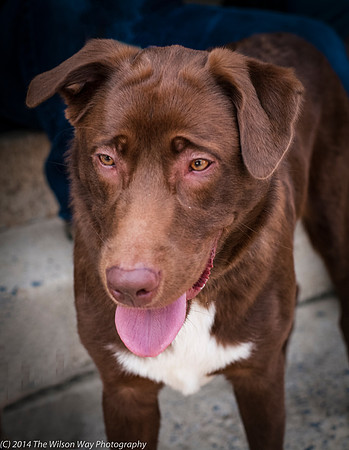 Foster Coco-9610
