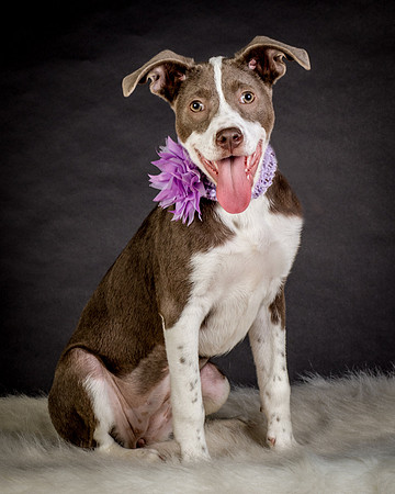 Foster Ari-8608