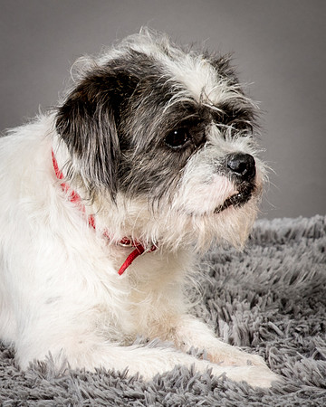 Foster Leeza-2611