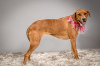 Foster Holley-4129