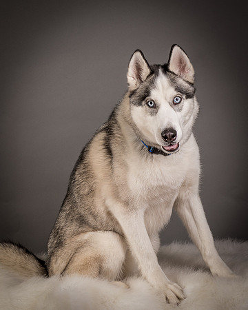 Foster Aspen-7644