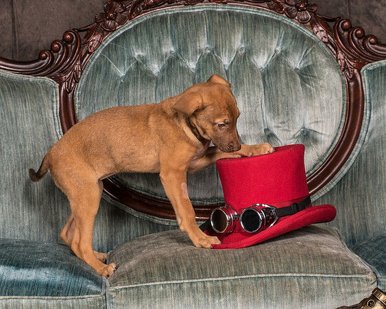 Foster Bronwyn-8292