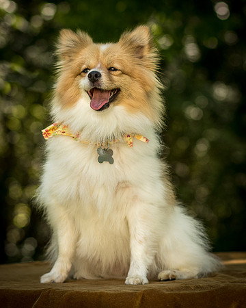 Foster Sydney-7691