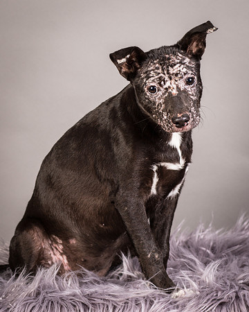 Foster Kendal-8744