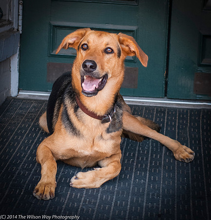 Foster Caesar-9414