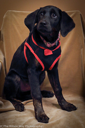 Foster Claudine-0930