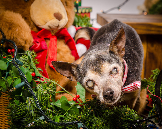 Foster Elliott-1300