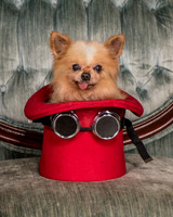 Foster Horace-0804