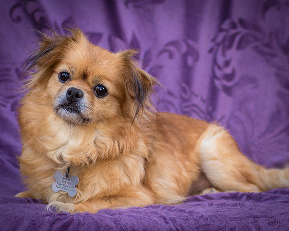 Foster Tia Maria-7845