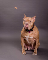 Maggie Griner-7508