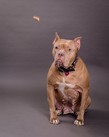 Maggie Griner-7508