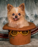 Foster Horace-0778