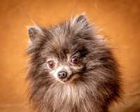 Foster Loretta-1257