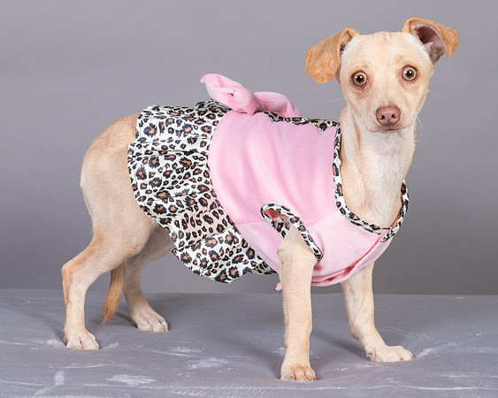 Foster Sigourney-9366
